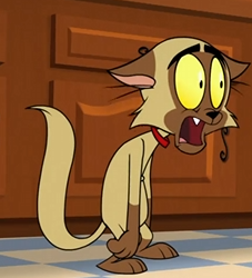 Chester 