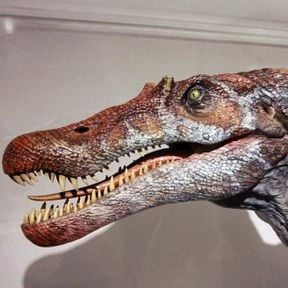 Spinosaurus