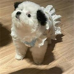 my