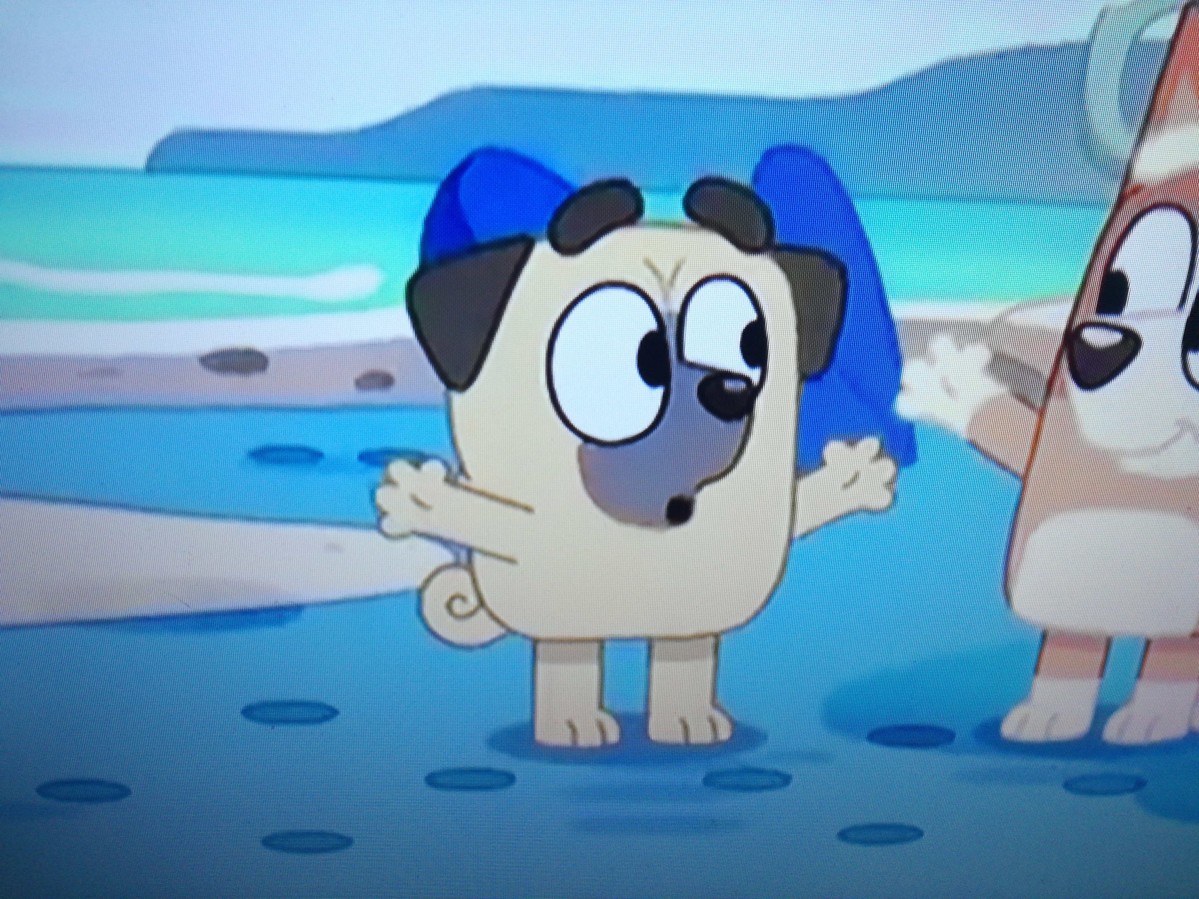 Buddy castellano(Bluey)
