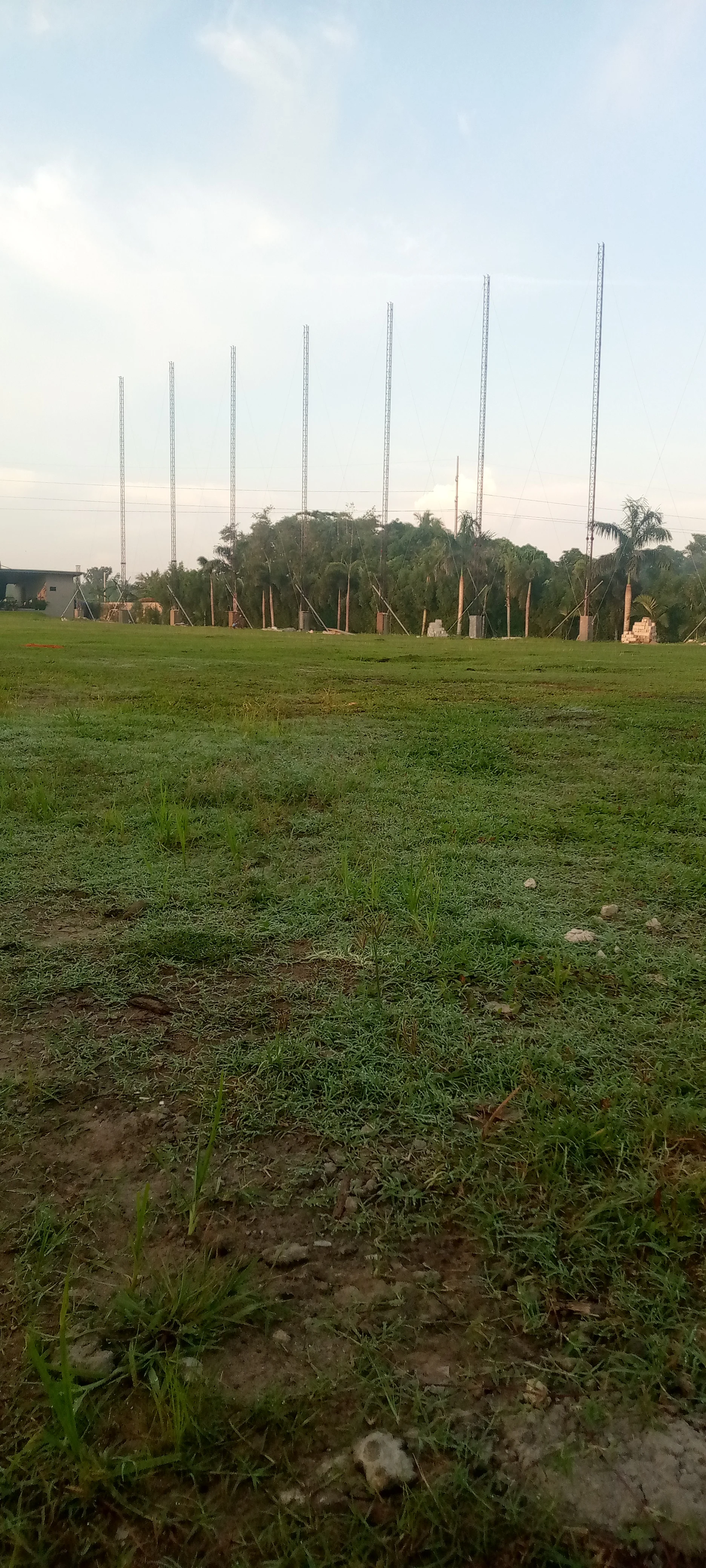Grass