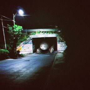 Bridge worm