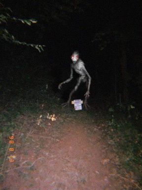chicken ghost