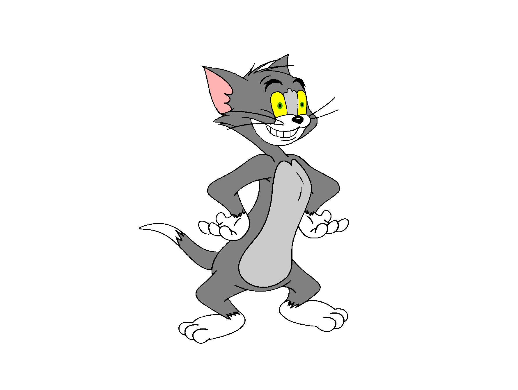 Tom The Cat