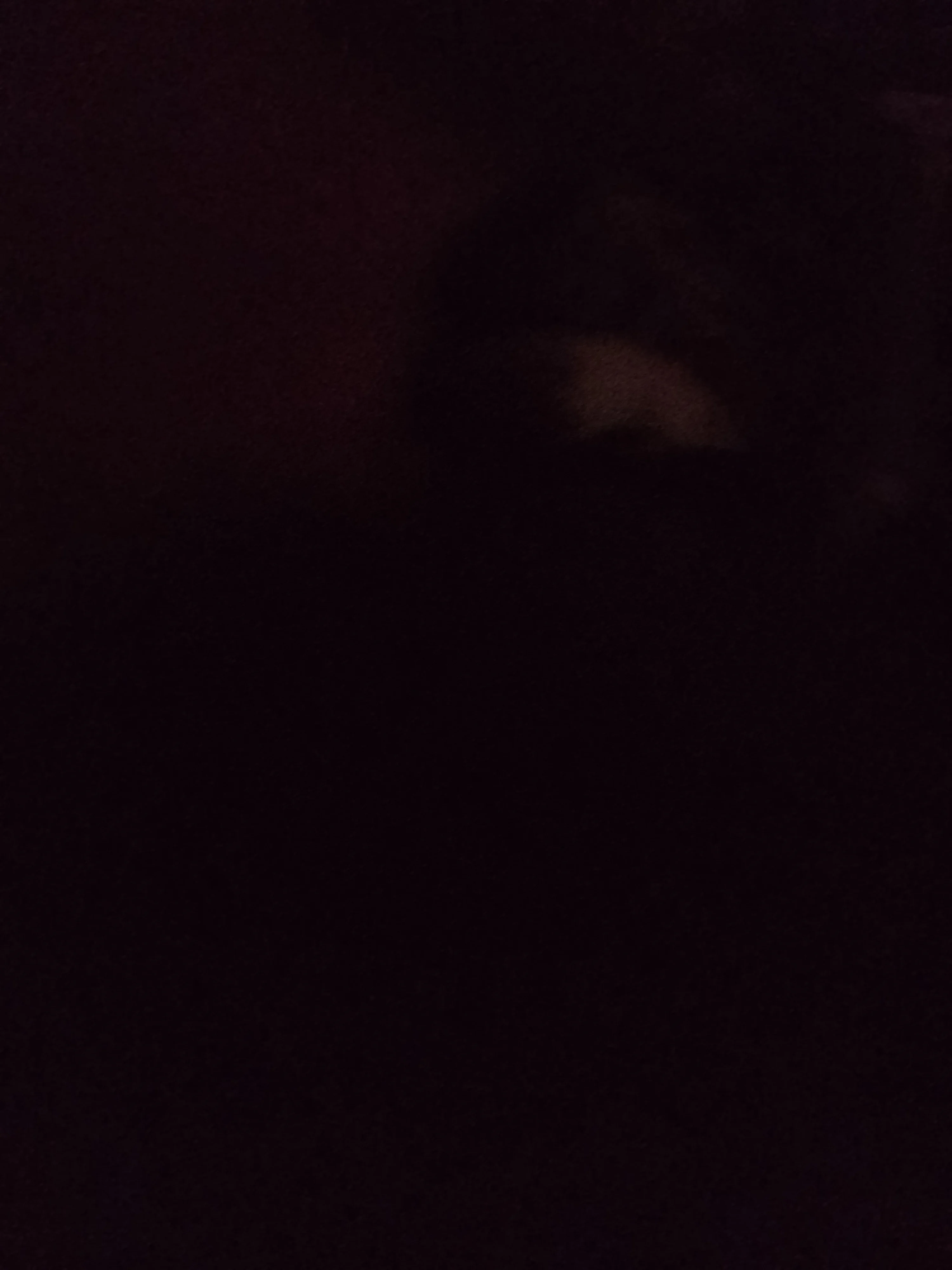 La voz de mi hermana