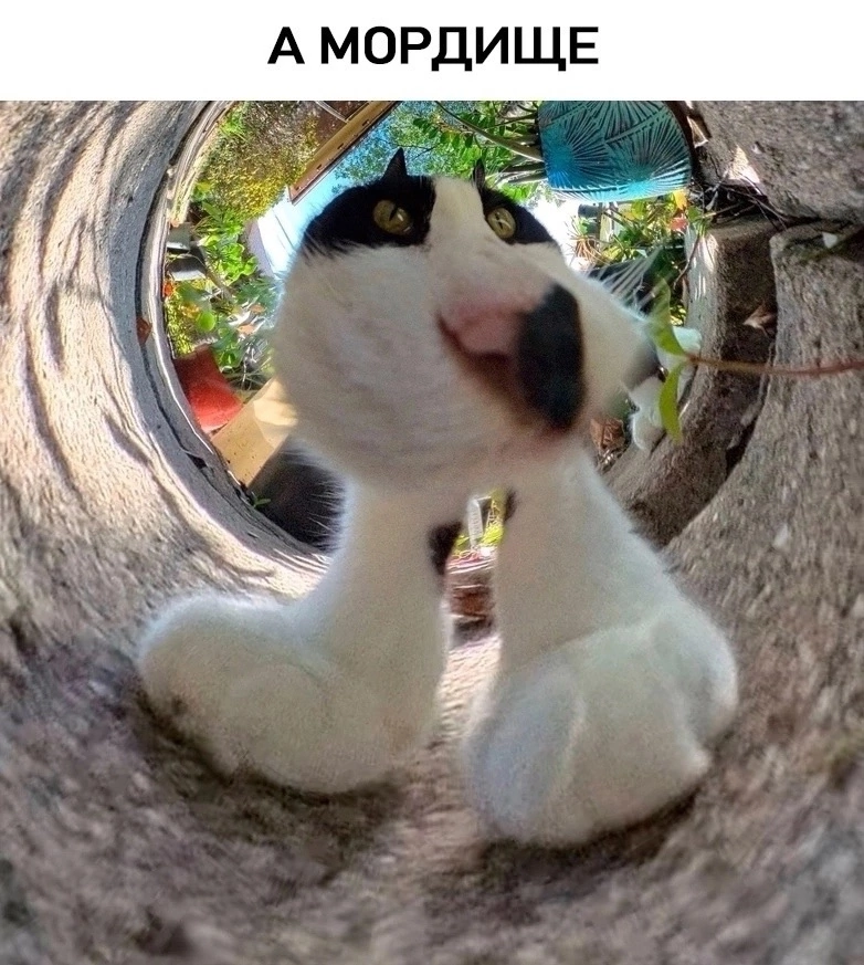 Сергей