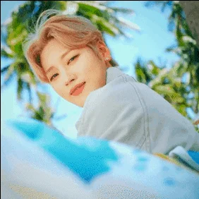 Seokhwa (WEİ)