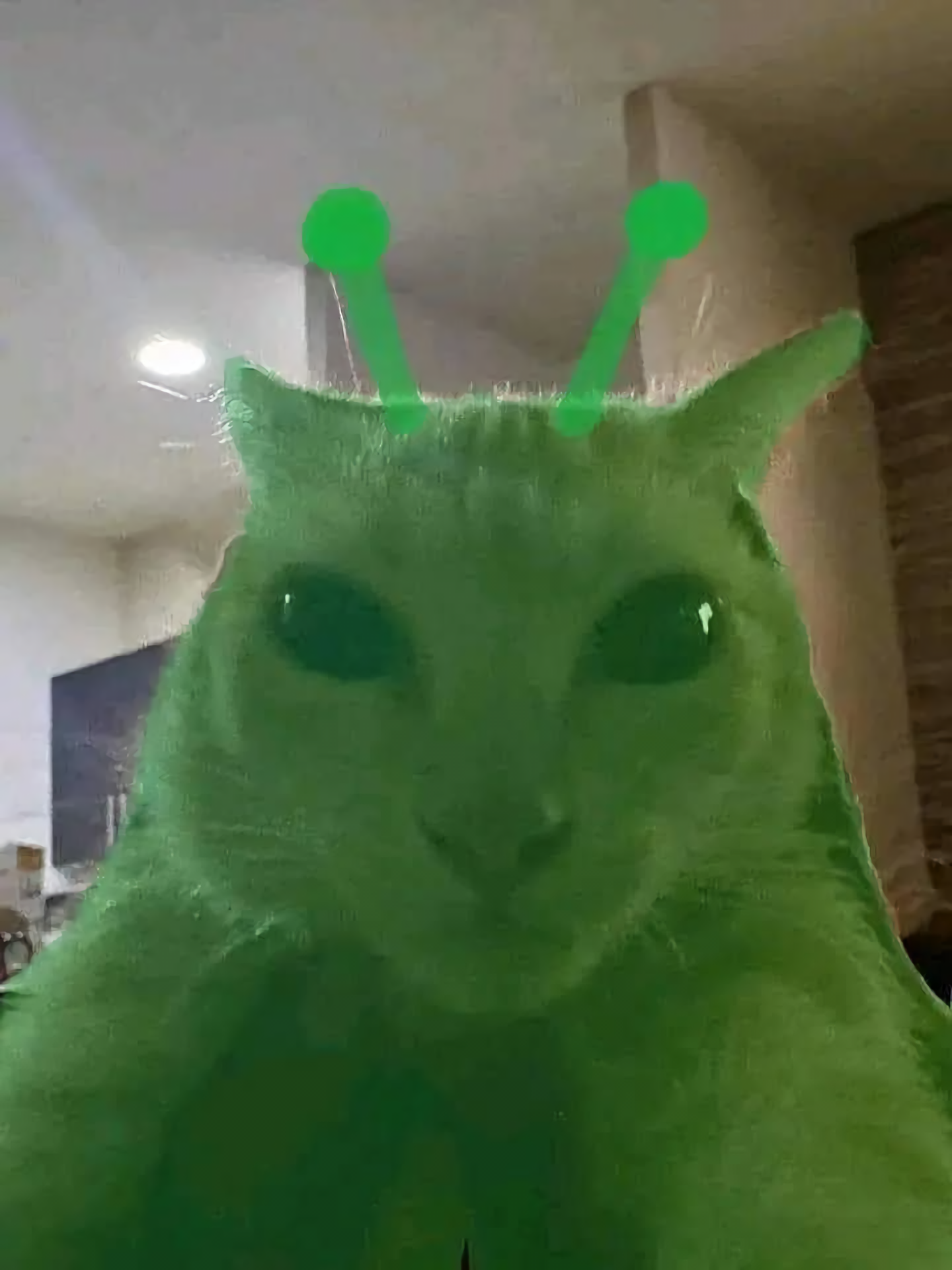 Awadito