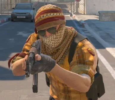 counter-strike leet