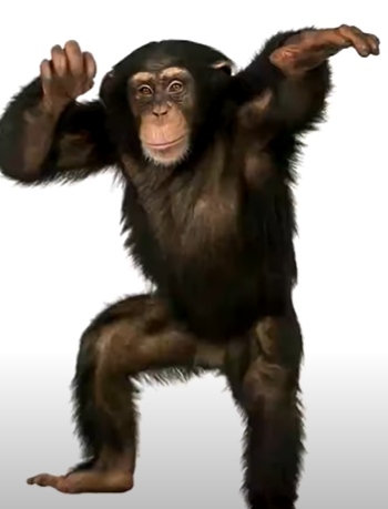 Literally Just a Chimpanzee