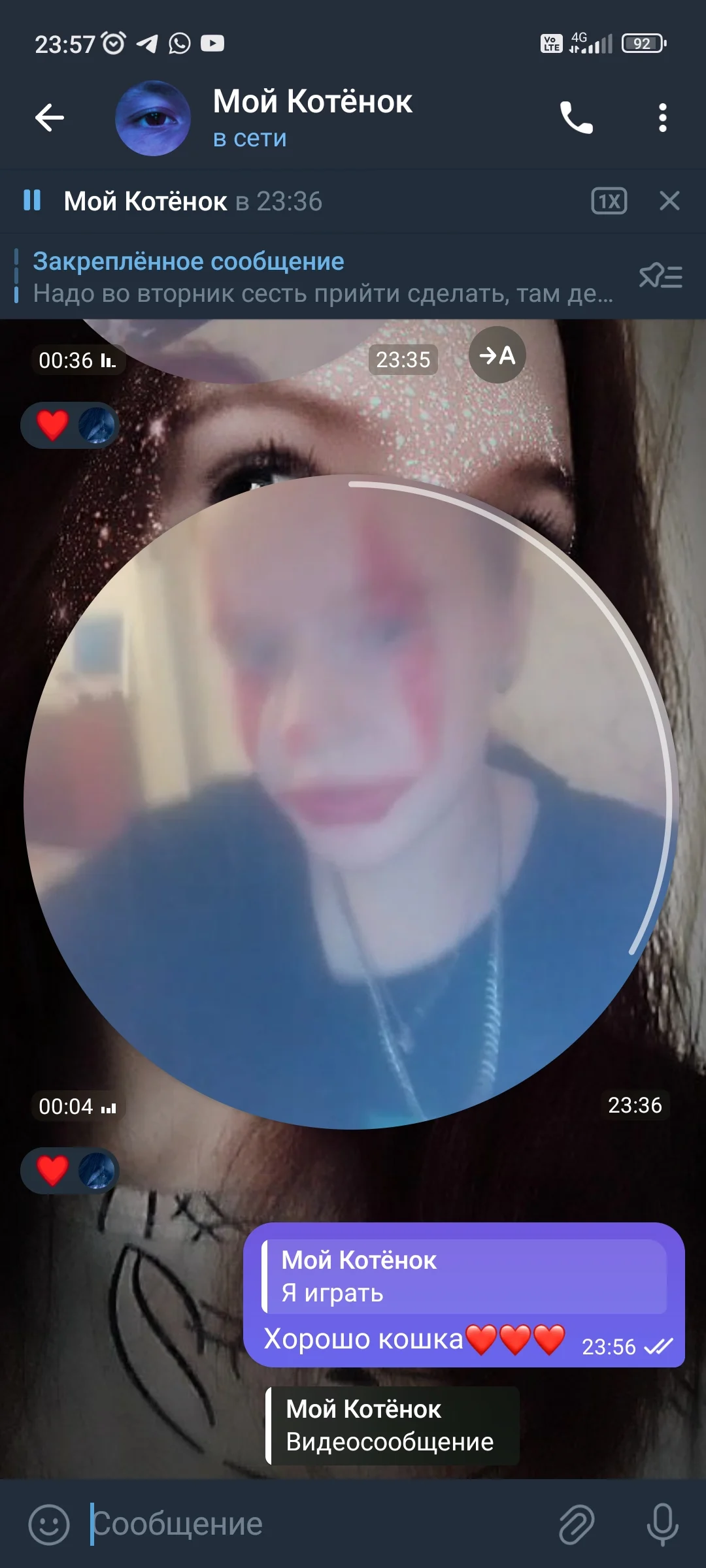 Alina V2