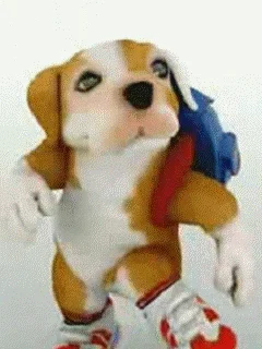 Chacarrón dog - Youtube 
