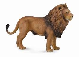 Rash The Lion 