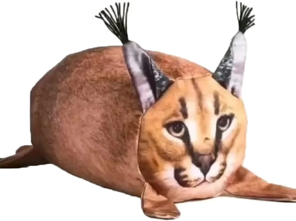 ñañoñu