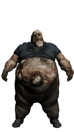 Boomer Spawn Sound (L4D/L4D2)