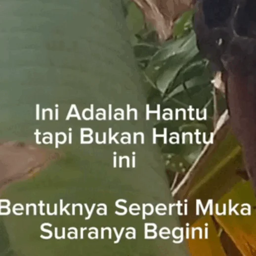 Idel | Idool (Hantu indonesia New)