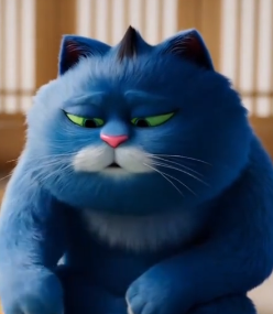 胖猫