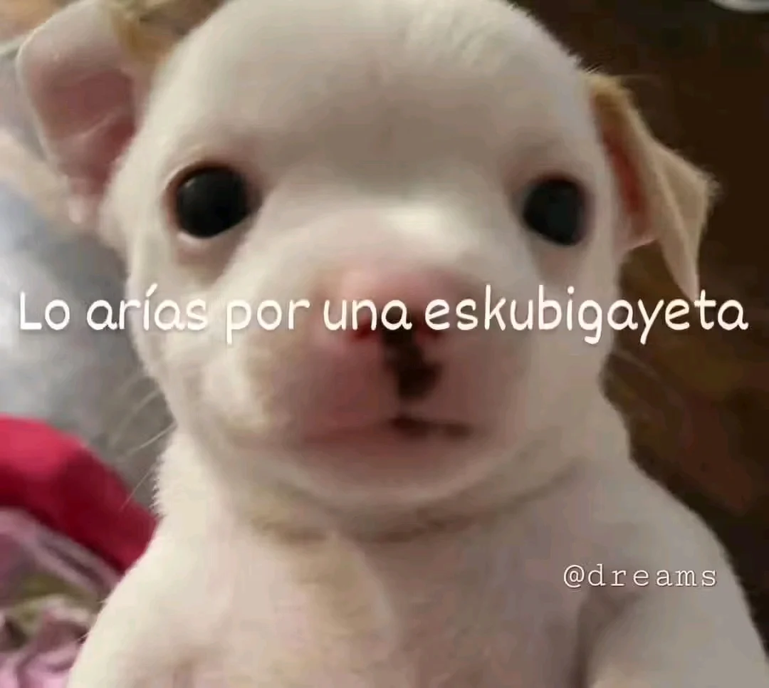 Alexis said (voz de niño)