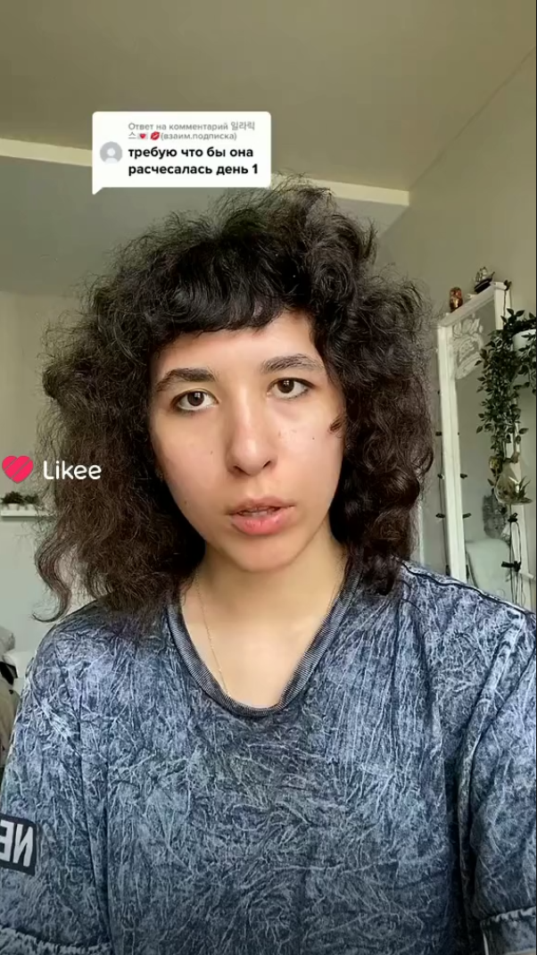 Лизкеч