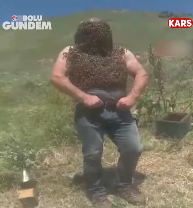 toprak