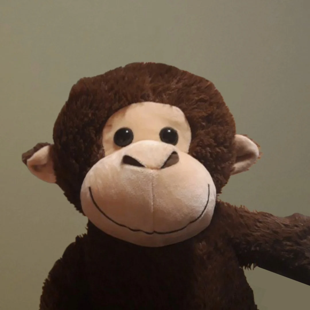 Monkey Bomb From The Bomb Family (2023)