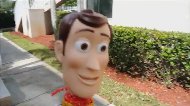 Woody [MarioWario]
