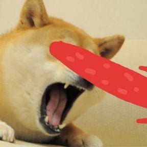 The guy edited doge 