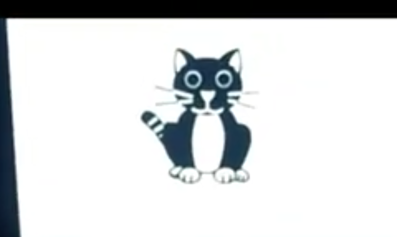 Black and white cat 4