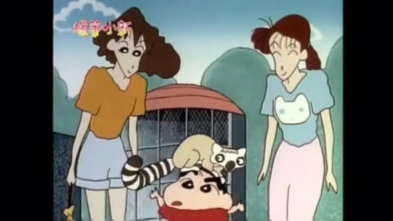 小新第四代