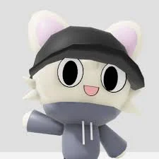 Randompersonscrazystuff