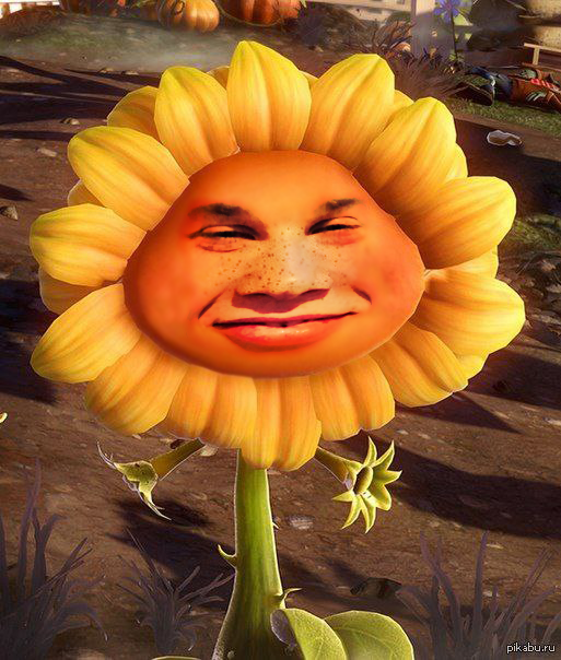 Sunny Anton