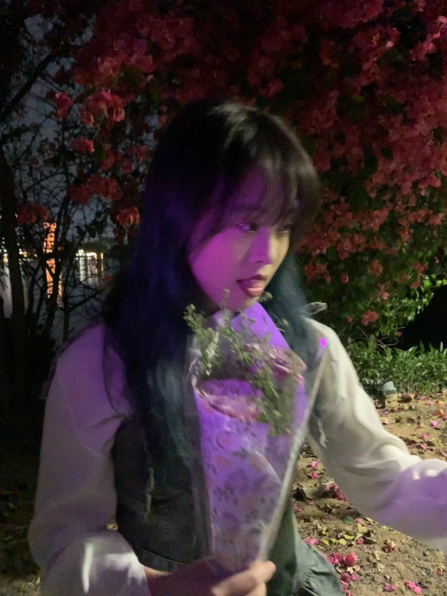 木南