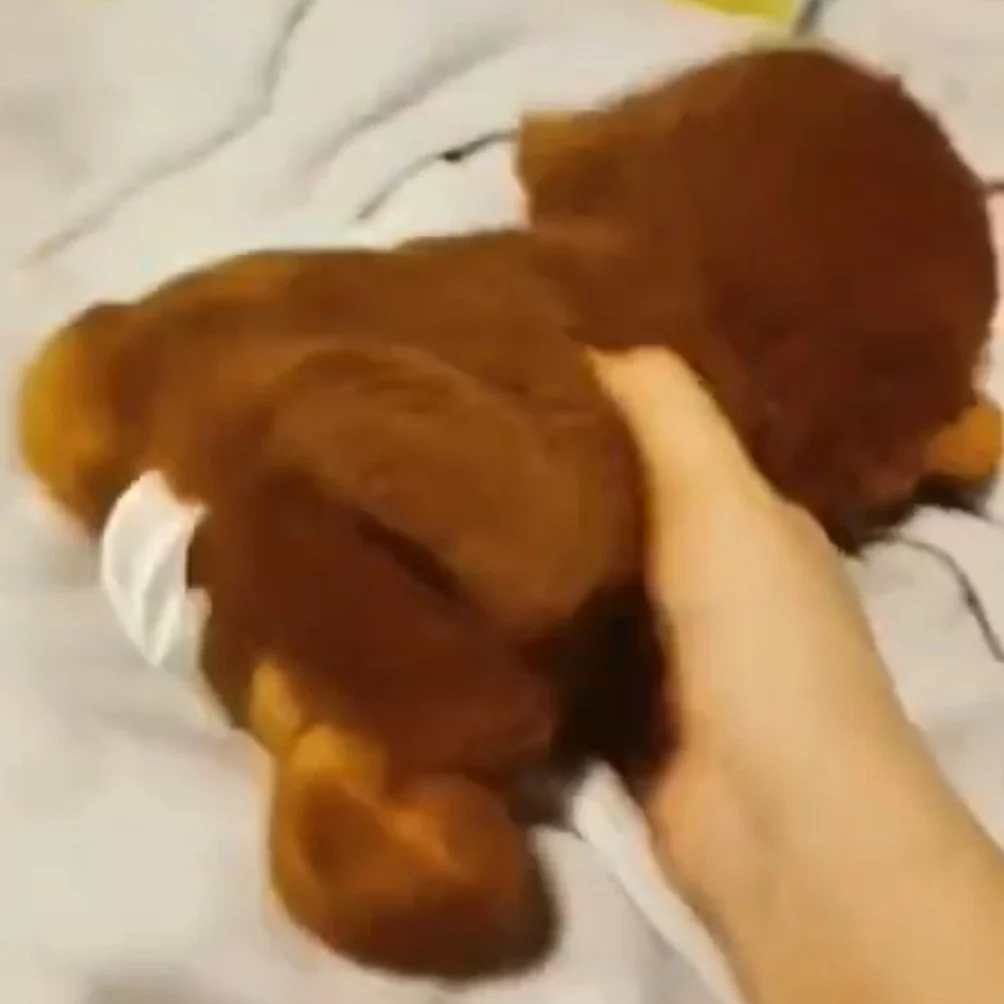 Little Monkey Bomb From The Bomb Family Cries (2023)