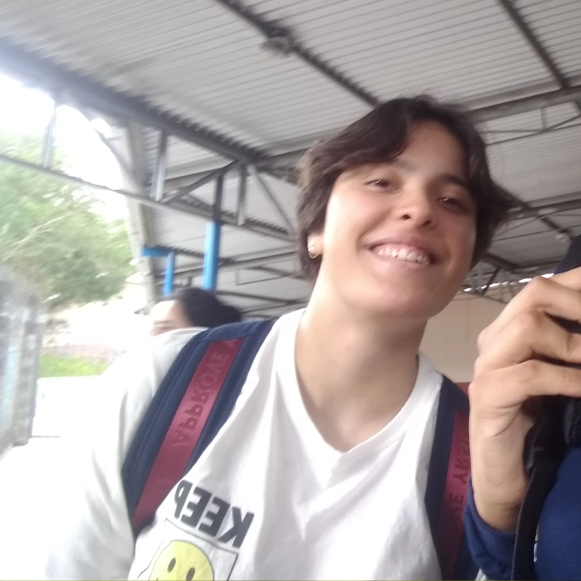 Manuella Pozenato Gomes