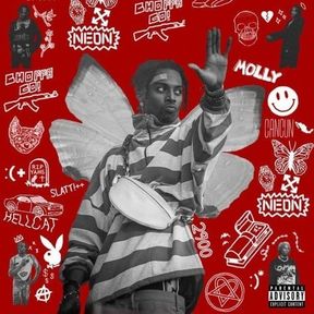 Playboi Carti