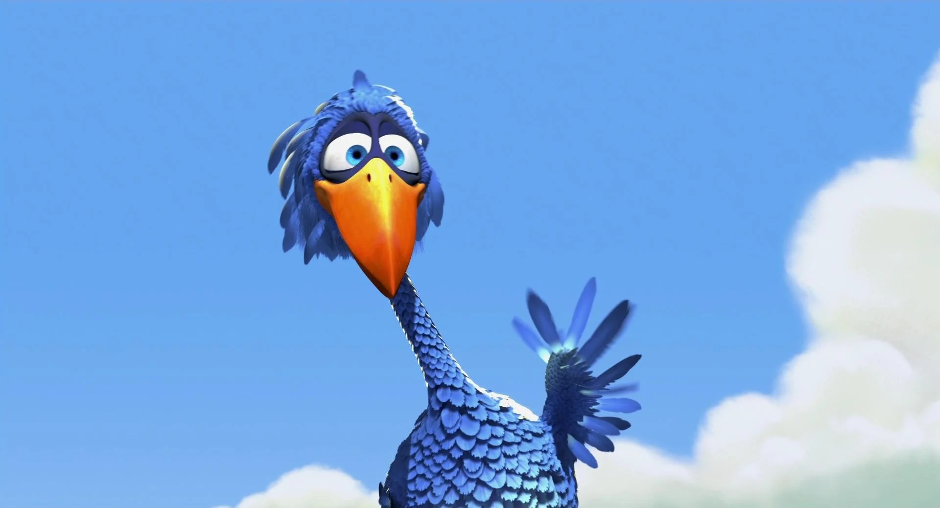 big bird for the birds