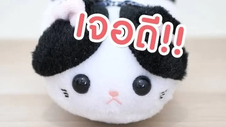 เส้าจู (theycallmemeaow)
