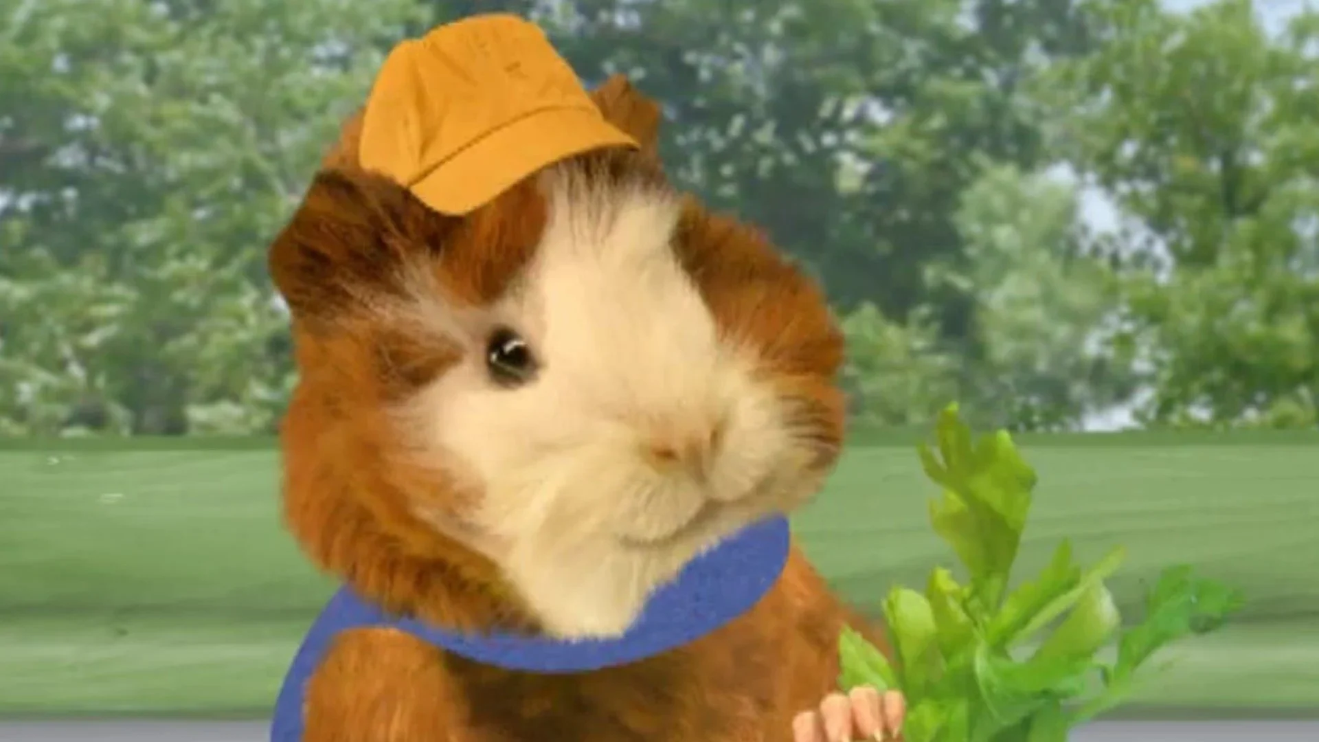 Linny The Guinea Pig (Wonder Pets Clubhouse)