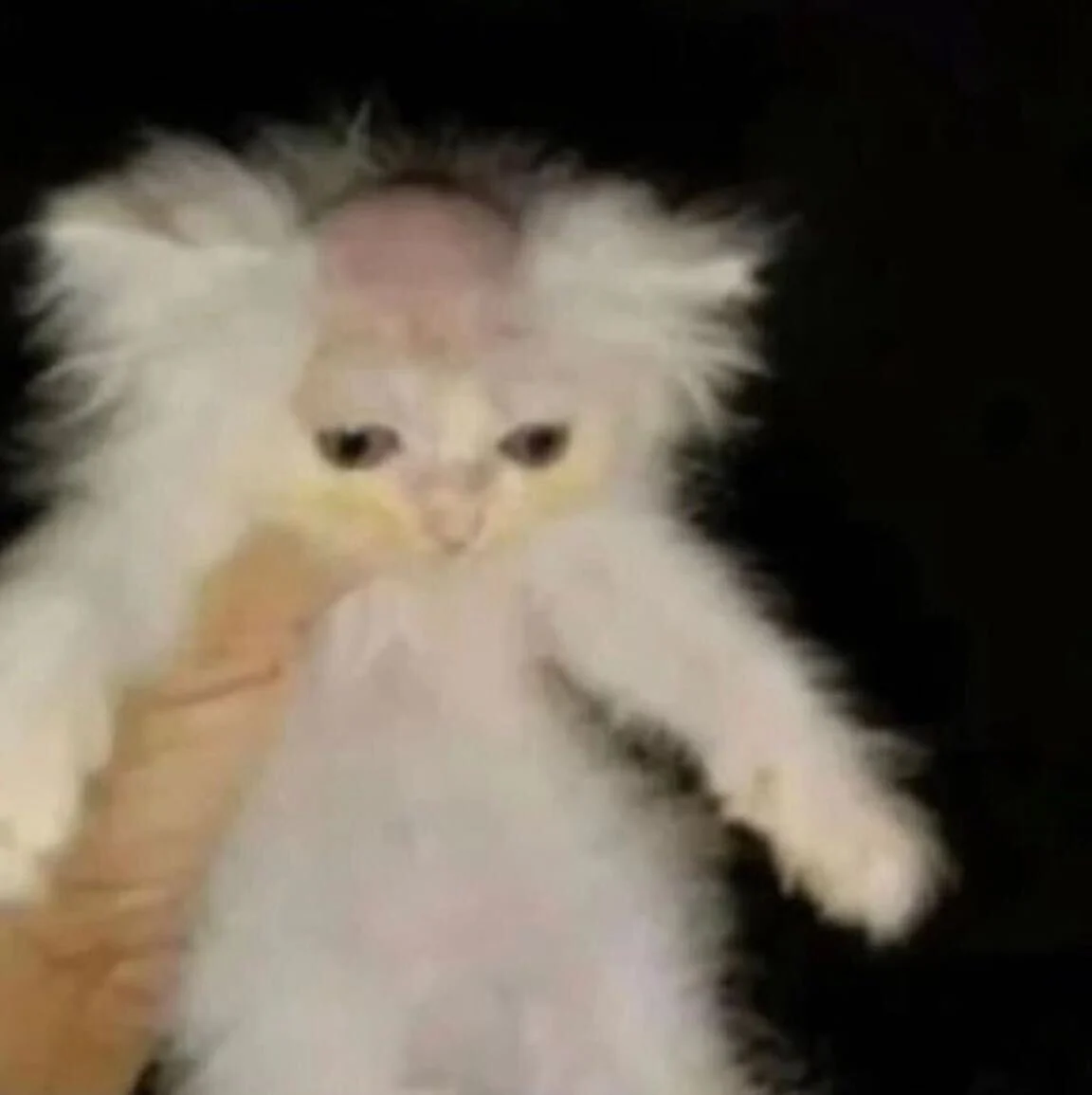 一筒