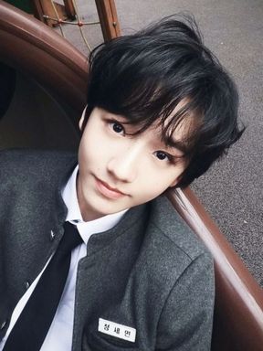 SEMIN (IDID)