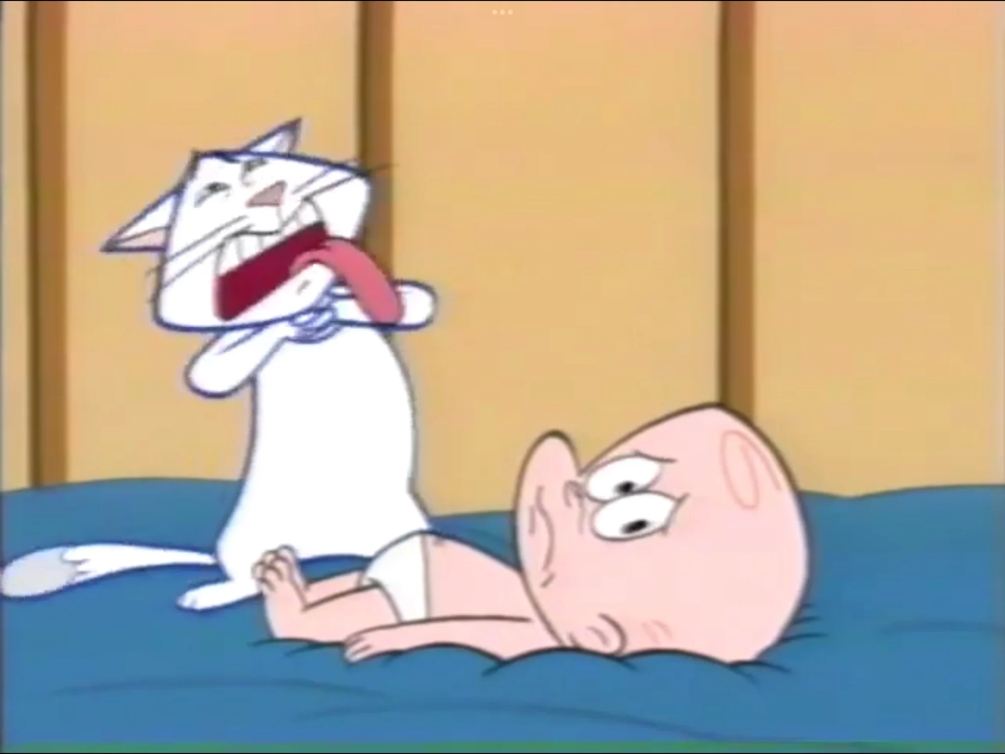 Kitty The Hapless Cat
