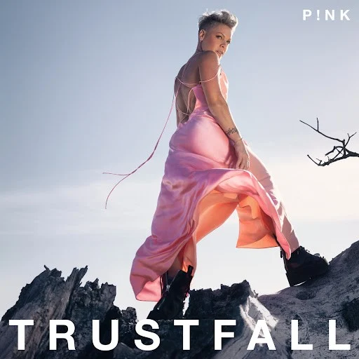P!nk - Never Gonna Not Dance Again (Acapella)