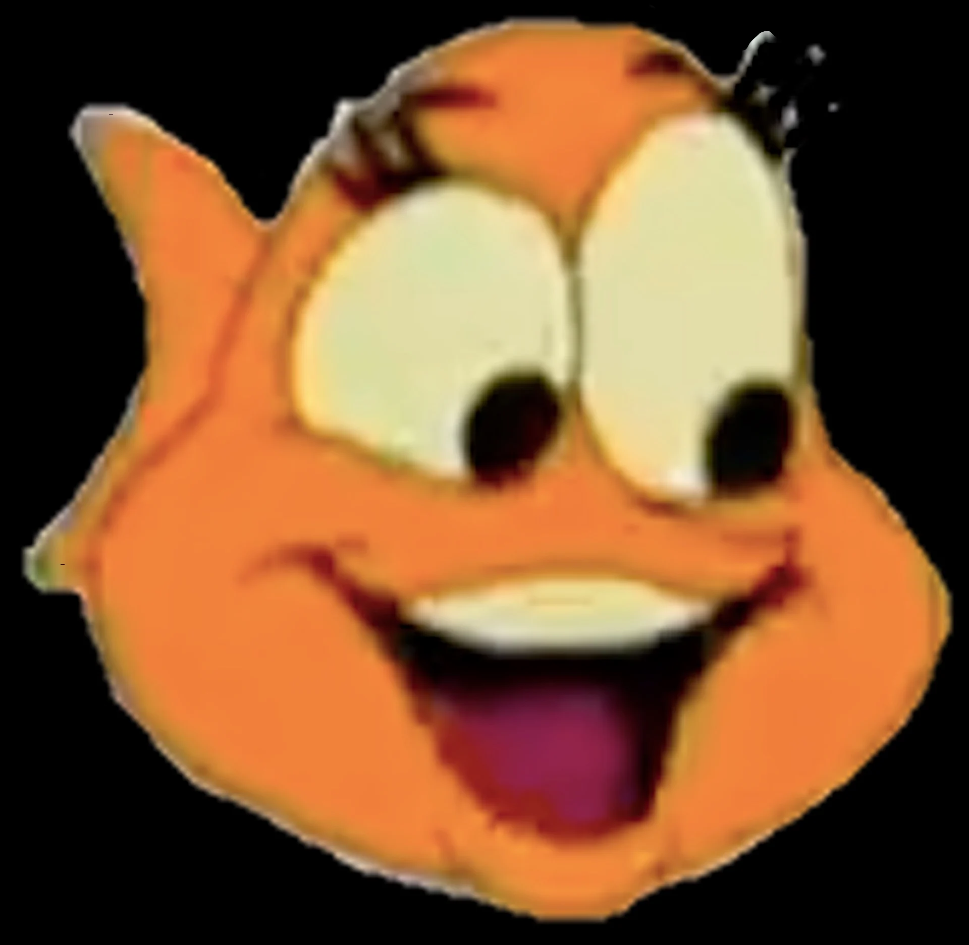 Kissy the Kissing Fish