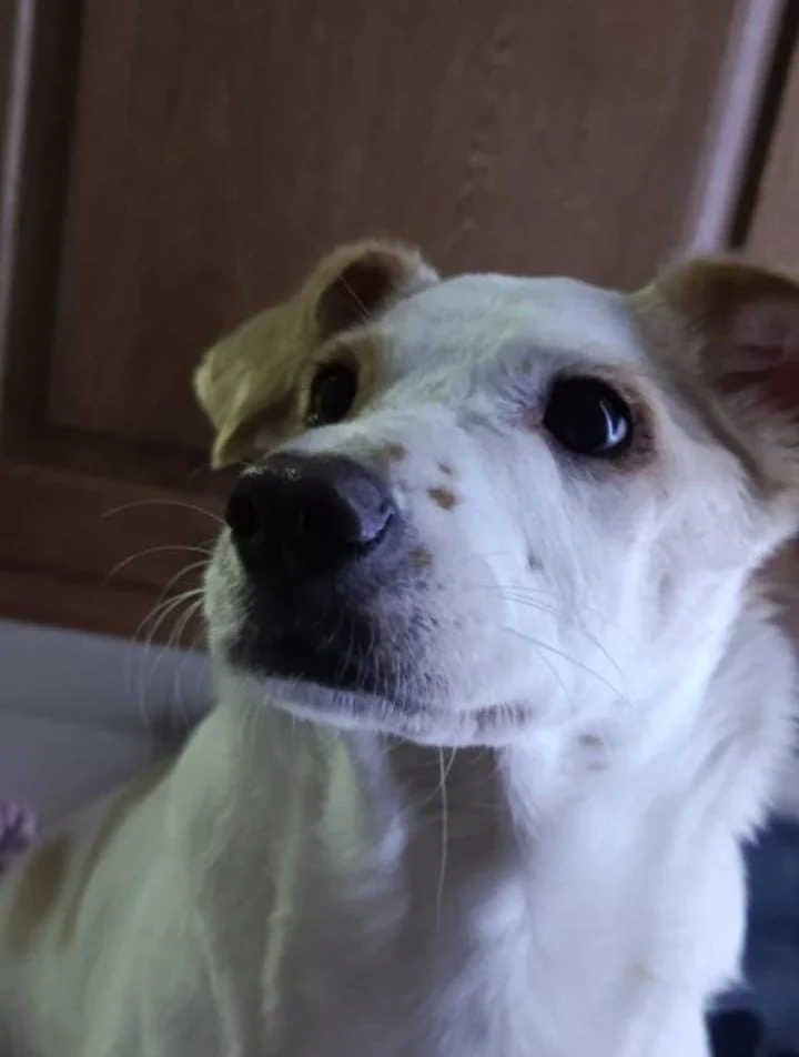 Lupita