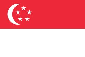 random singaporean voice