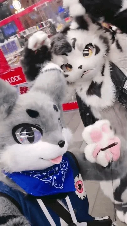 ZERoTuber