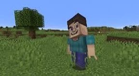 Grotesque Steve