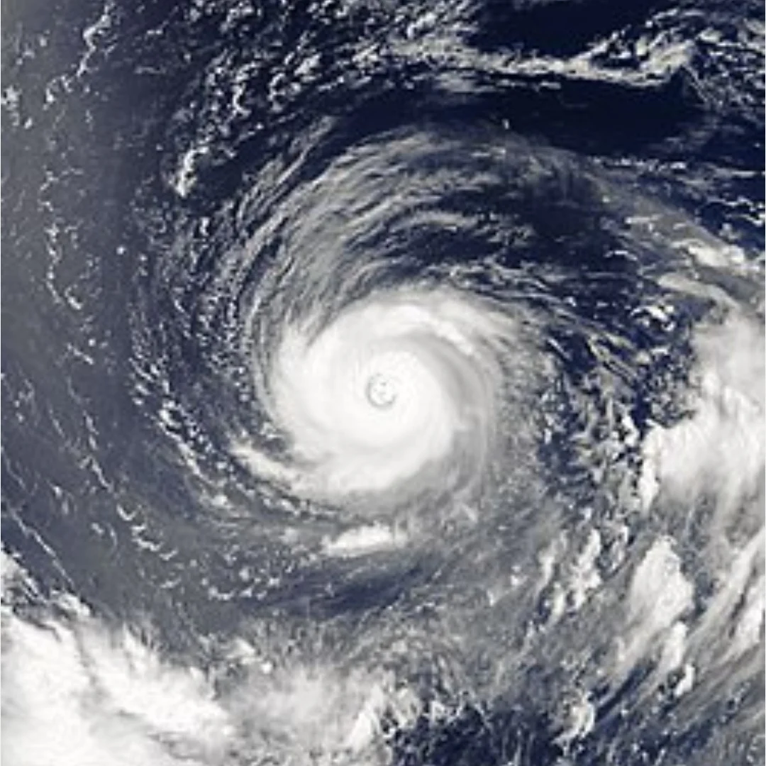 Literally Typhoon