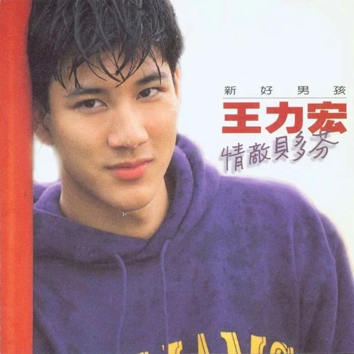 王力宏 1995前 少年版（Wang Leehom 、Alexander Lee Hom Wang 、二哥、王力宏）