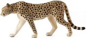 Ramil Father The Cheetah Rus